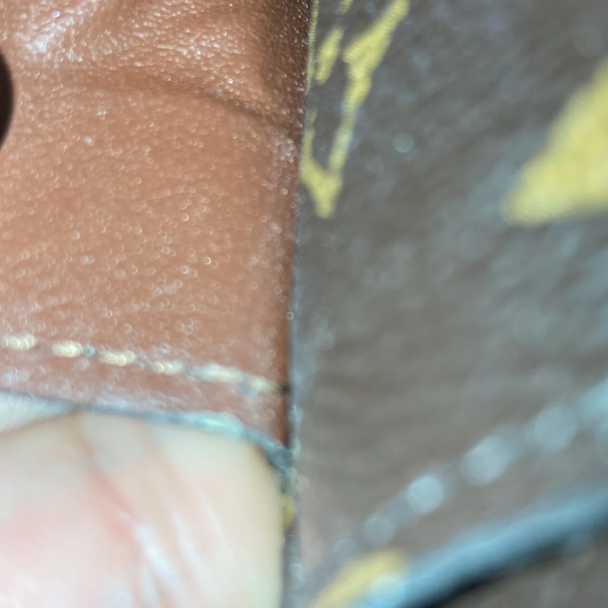 Sarah Wallet NM Monogram Canvas - Deep Luxury