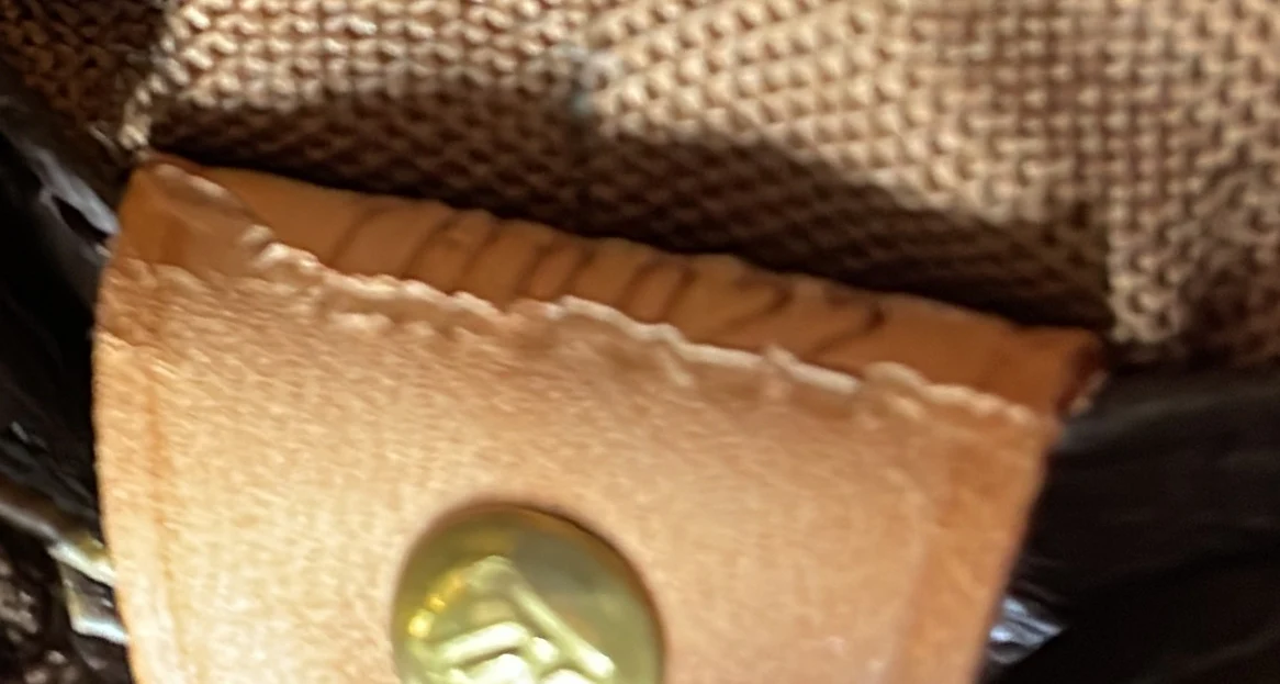 Cabas Mezzo Monogram Canvas - Deep Luxury