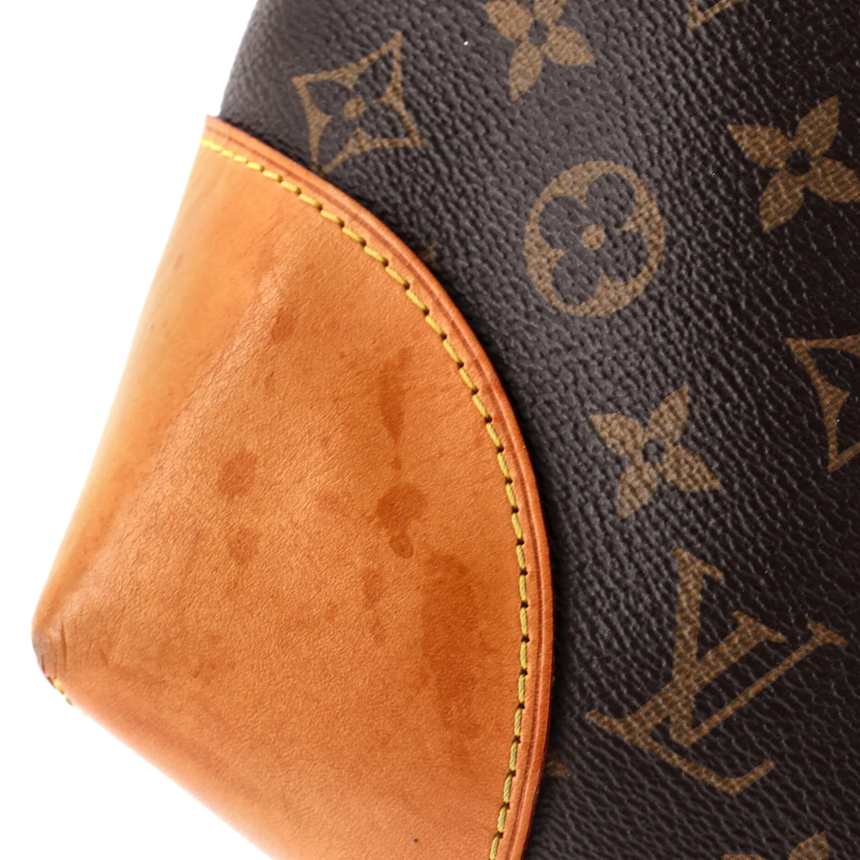 Berri Handbag Monogram Canvas MM - Deep Luxury