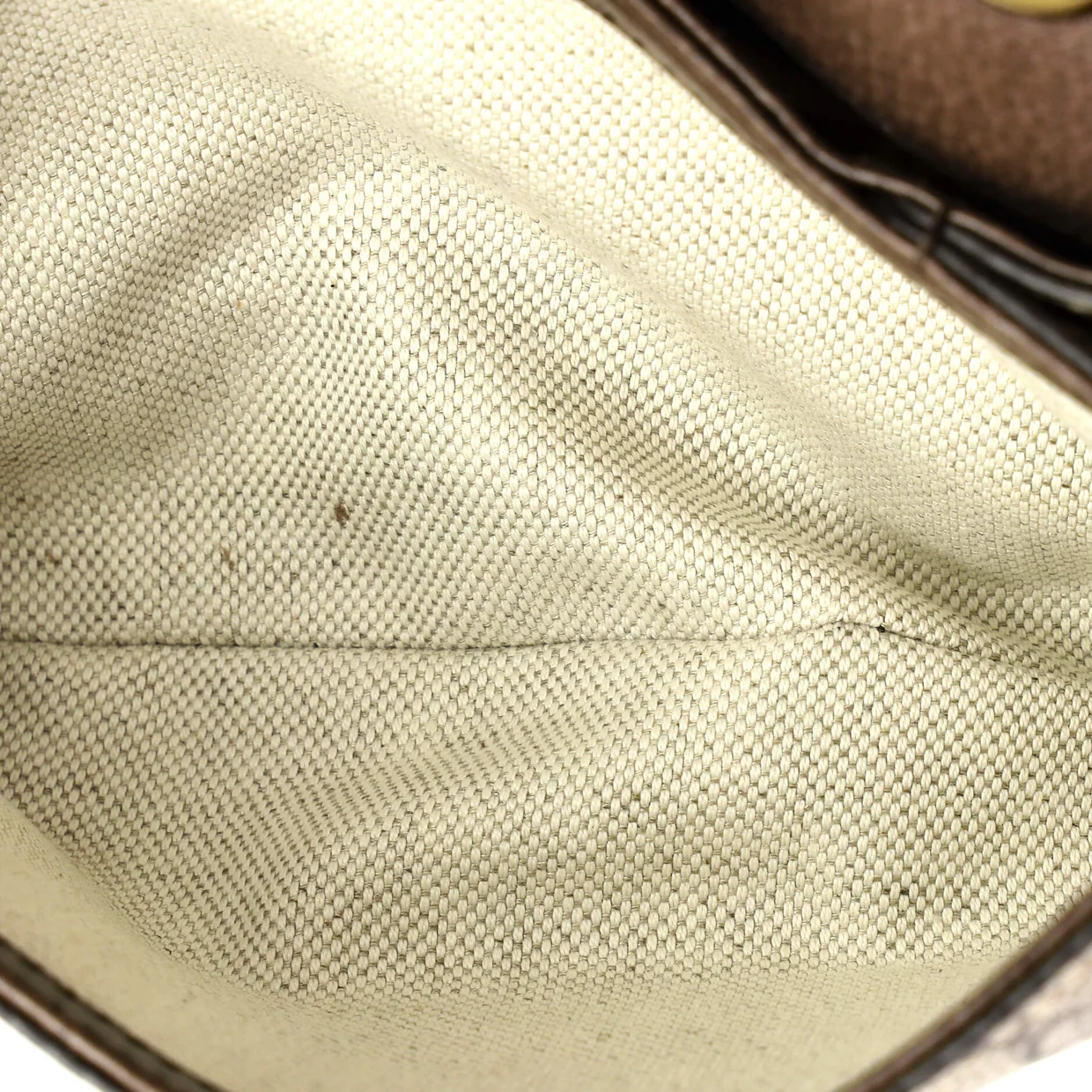 Blondie NM Flap Bag GG Coated Canvas Mini - Deep Luxury