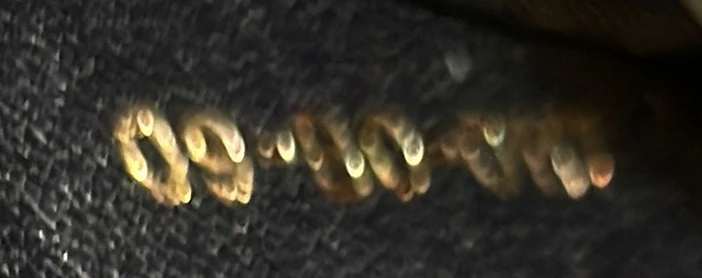 Diorama Wallet on Chain Studded Leather - Deep Luxury