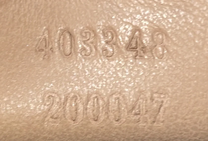 Dionysus Bag GG Coated Canvas Medium - Deep Luxury