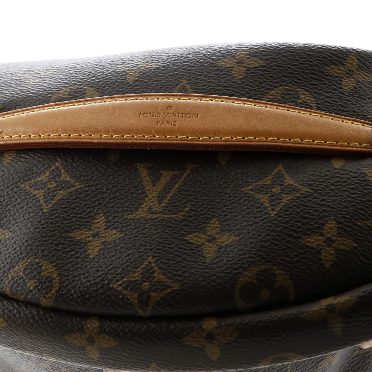 Bum Bag Monogram Canvas - Deep Luxury
