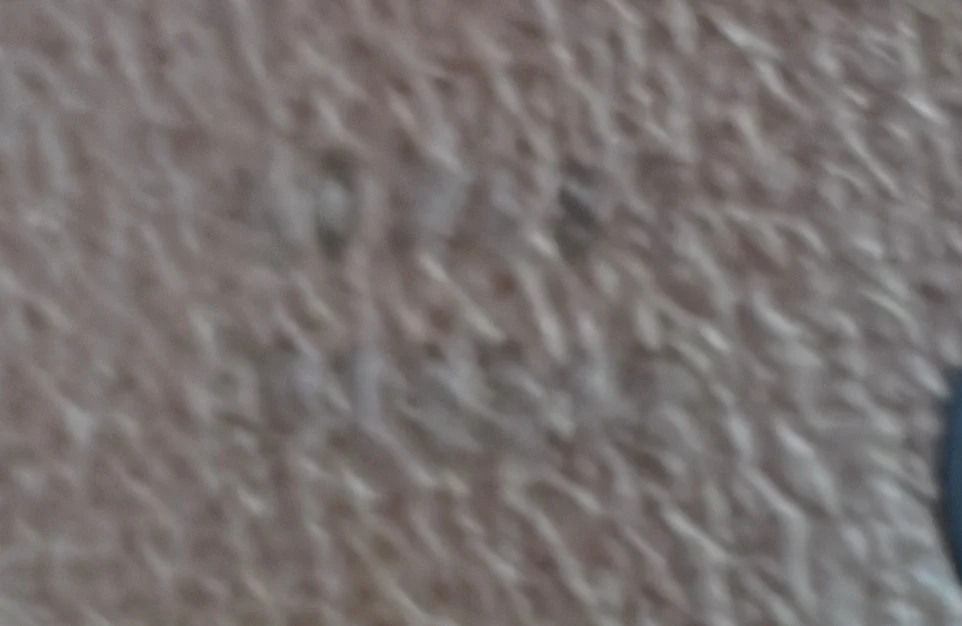 Padlock Shoulder Bag Bengal Print GG Coated Canvas Small - Deep Luxury