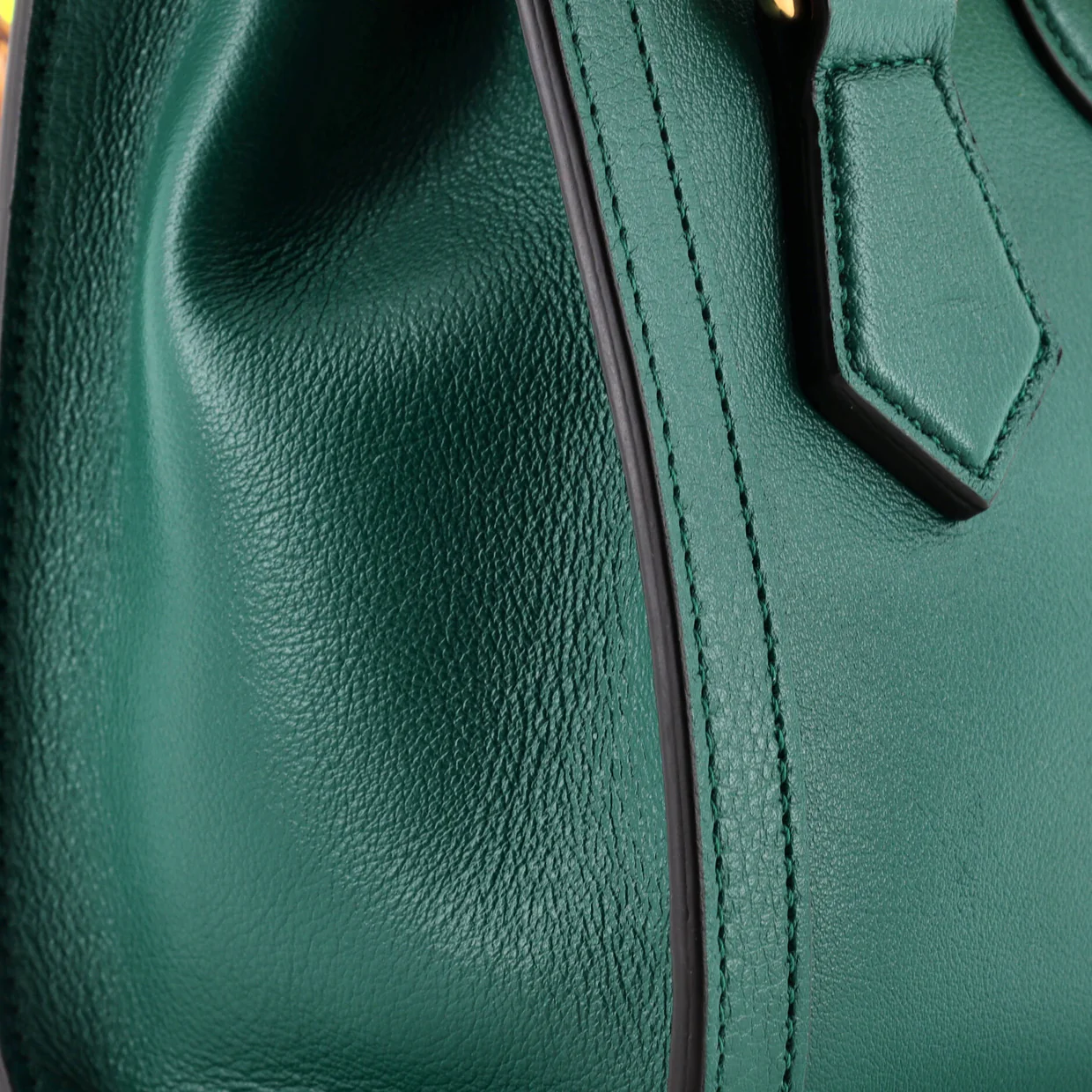 Diana NM Bamboo Handle Tote Leather Mini - Deep Luxury