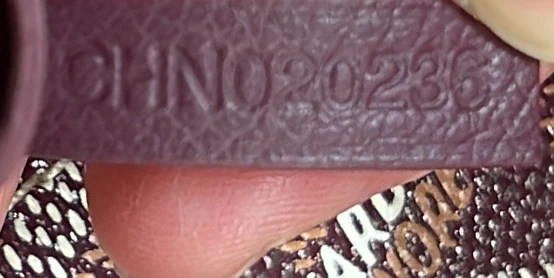 Saint Louis Tote Coated Canvas PM - Deep Luxury