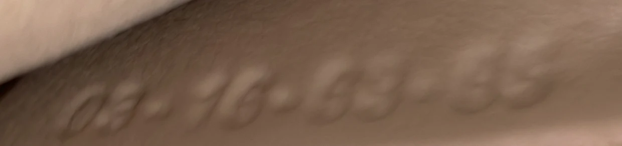 Drew Crossbody Bag Python and Leather Small - Deep Luxury