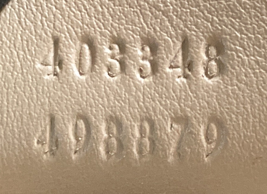 Dionysus Bag GG Coated Canvas Medium - Deep Luxury