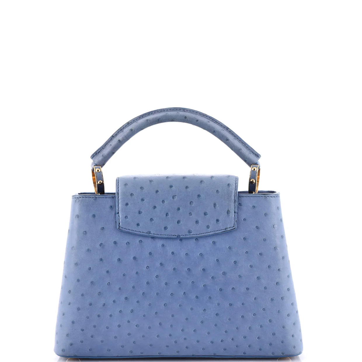 Capucines Bag Ostrich BB - Deep Luxury