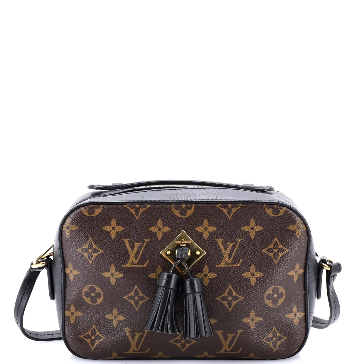 Saintonge Handbag Monogram Canvas with Leather - Deep Luxury