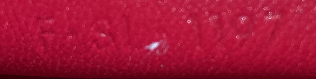 Clasp Crossbody Bag Lizard Mini - Deep Luxury