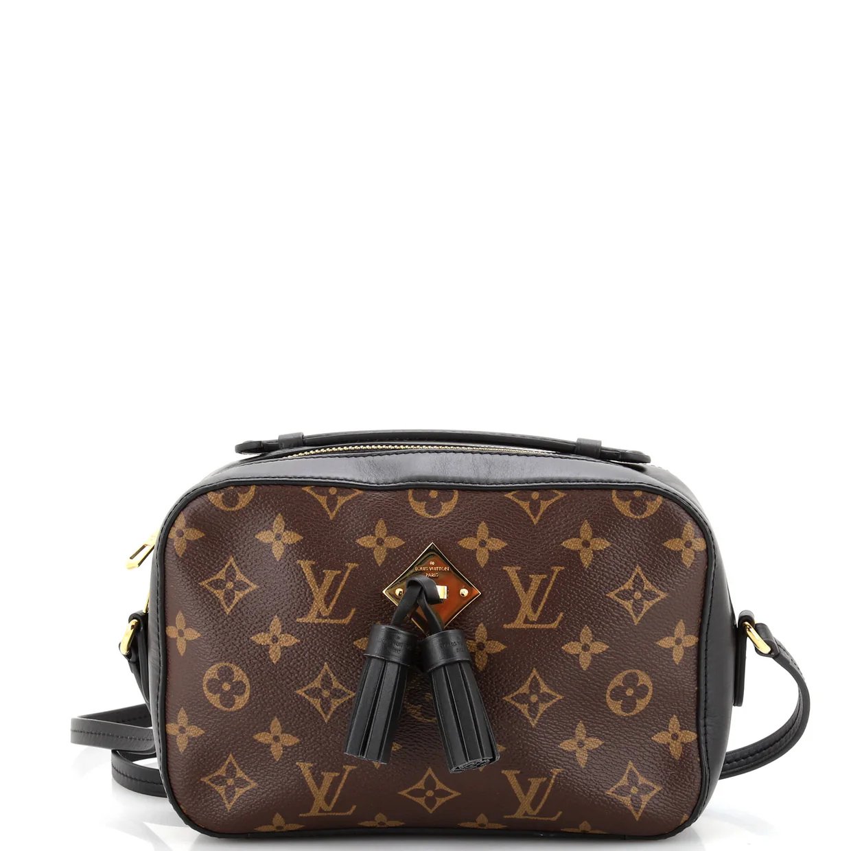 Saintonge Handbag Monogram Canvas with Leather - Deep Luxury