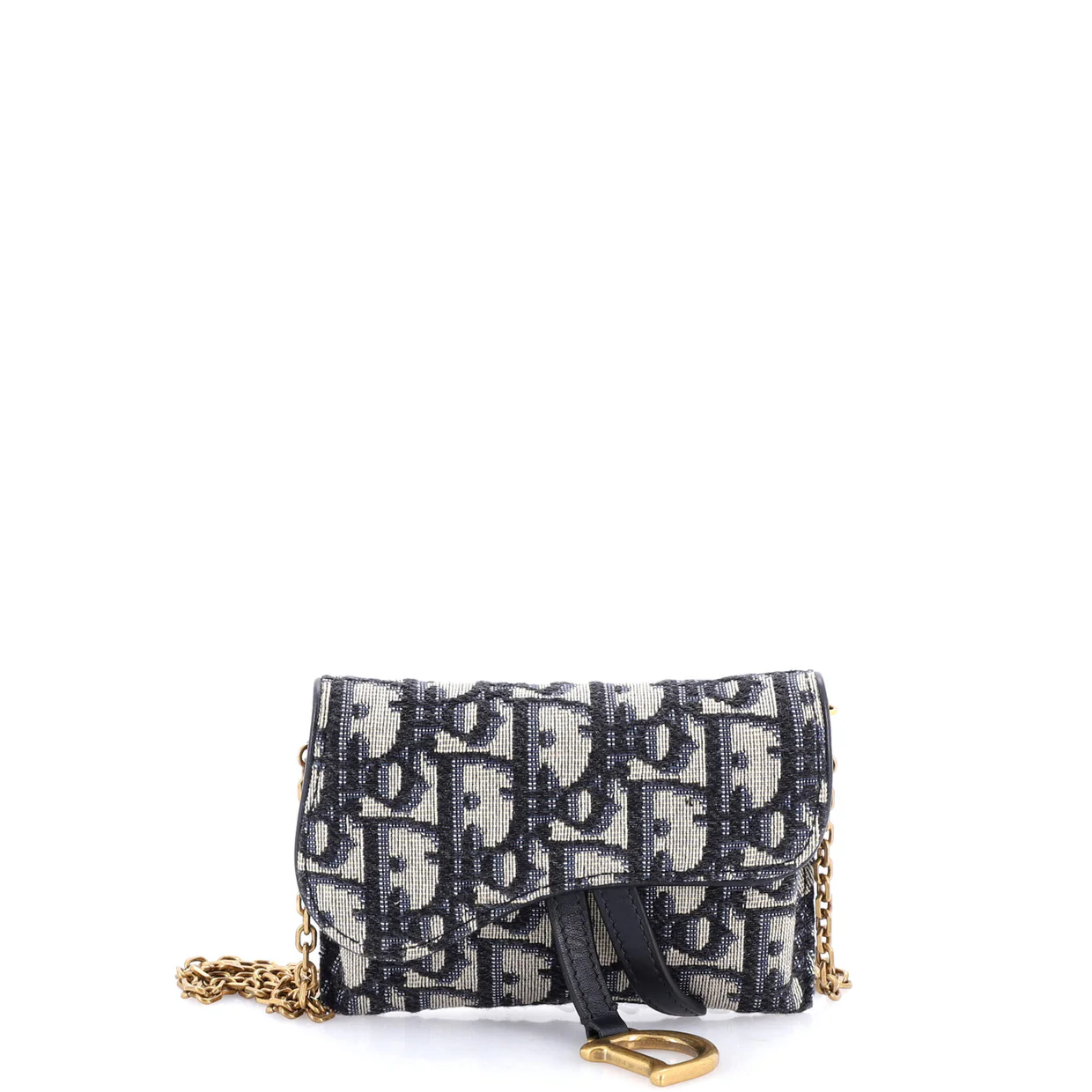 Saddle Nano Pouch Oblique Canvas - Deep Luxury
