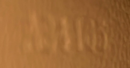 Twist Handbag Python MM - Deep Luxury