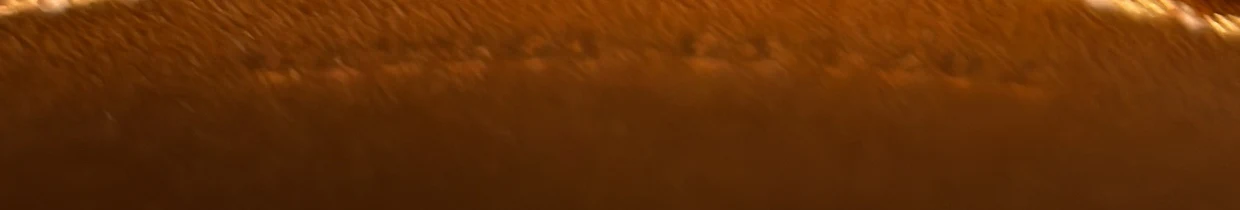 Diana NM Bamboo Handle Tote Crystal Embellished GG Canvas Mini - Deep Luxury