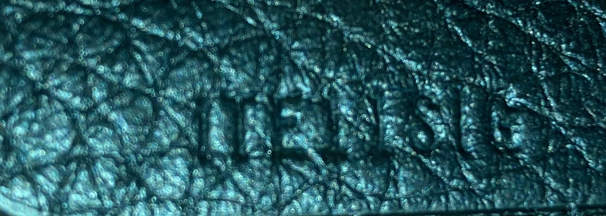 TB Camera Bag Leather Medium - Deep Luxury