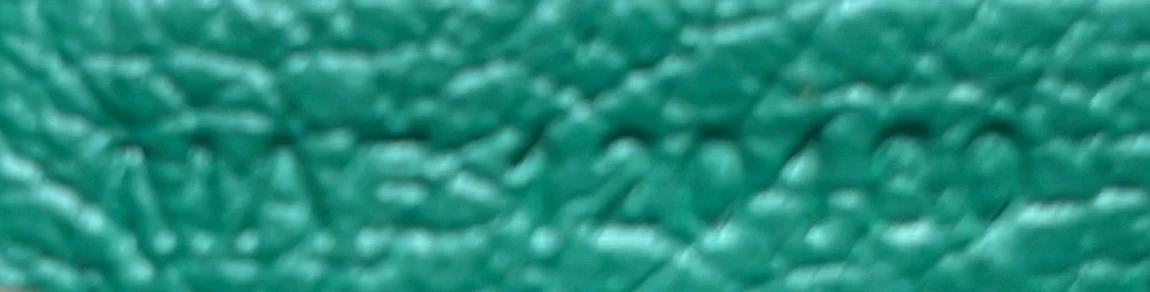 Saint Louis Tote Coated Canvas PM - Deep Luxury