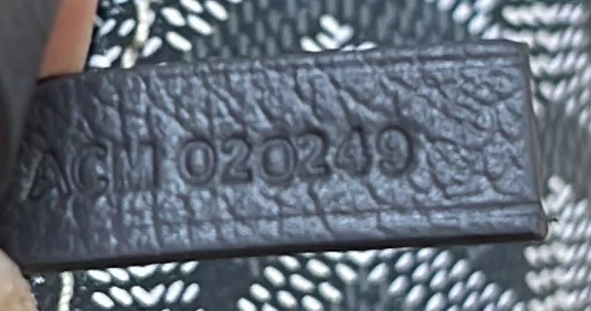 Saint Louis Tote Coated Canvas PM - Deep Luxury