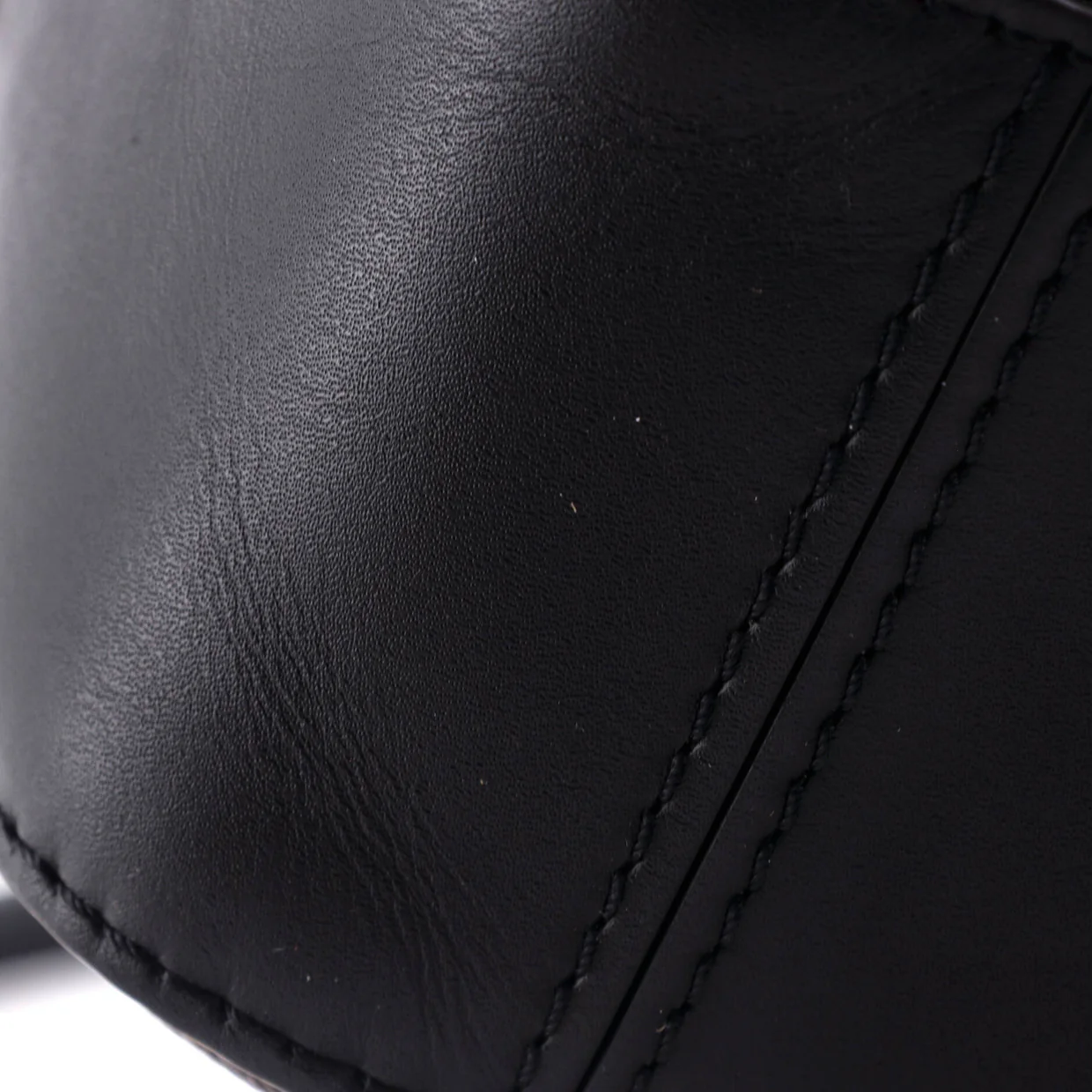 Saintonge Handbag Monogram Canvas with Leather - Deep Luxury