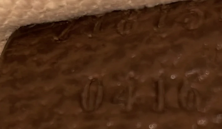 Blondie Flap Pocket Belt bag GG Coated Canvas - Deep Luxury