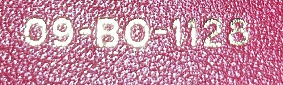 Diorama Flap Bag Studded Leather Medium - Deep Luxury