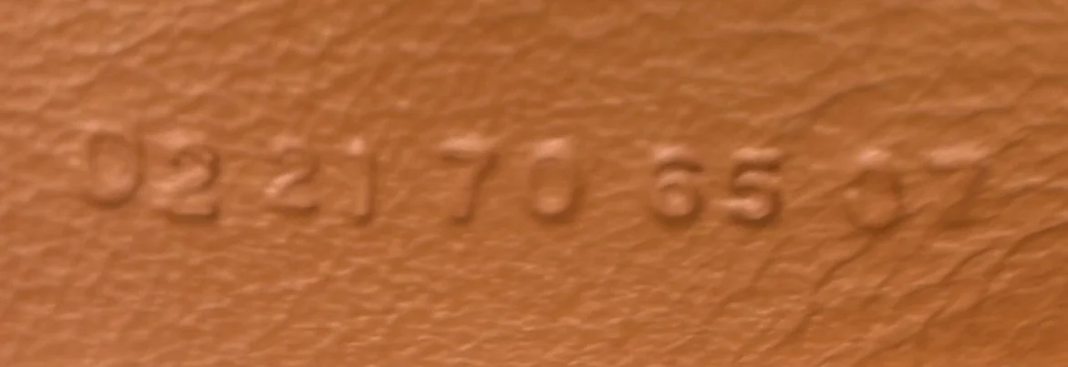 Daria Bag Leather Small - Deep Luxury