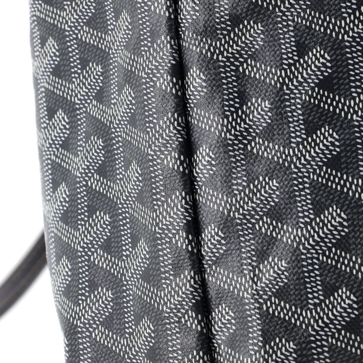 Saint Louis Tote Coated Canvas PM - Deep Luxury