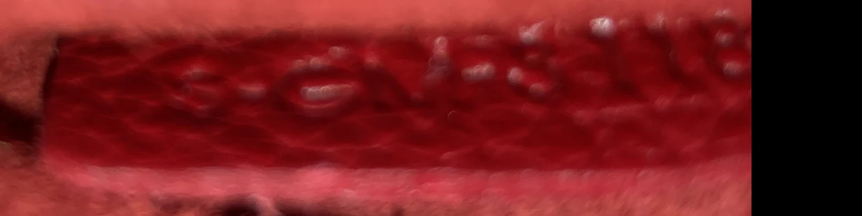 Sangle Seau Bag Calfskin Small - Deep Luxury