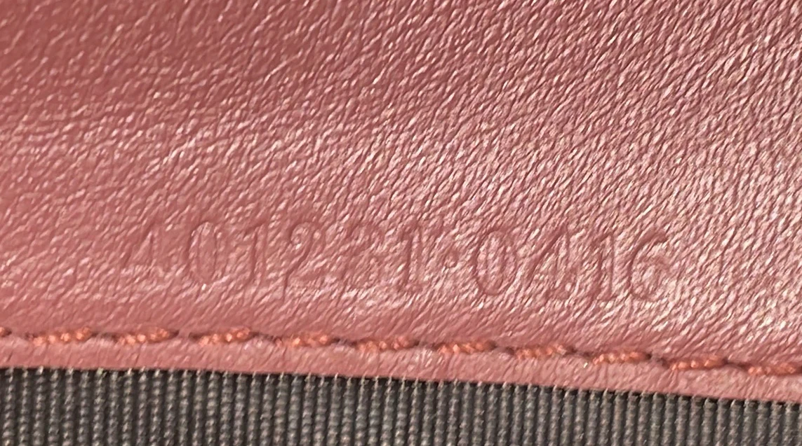 Dionysus Chain Wallet Blooms Print GG Coated Canvas Small - Deep Luxury