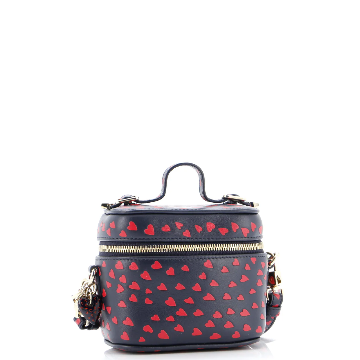 Lady Dior Vanity Case Printed Leather Micro - Deep Luxury