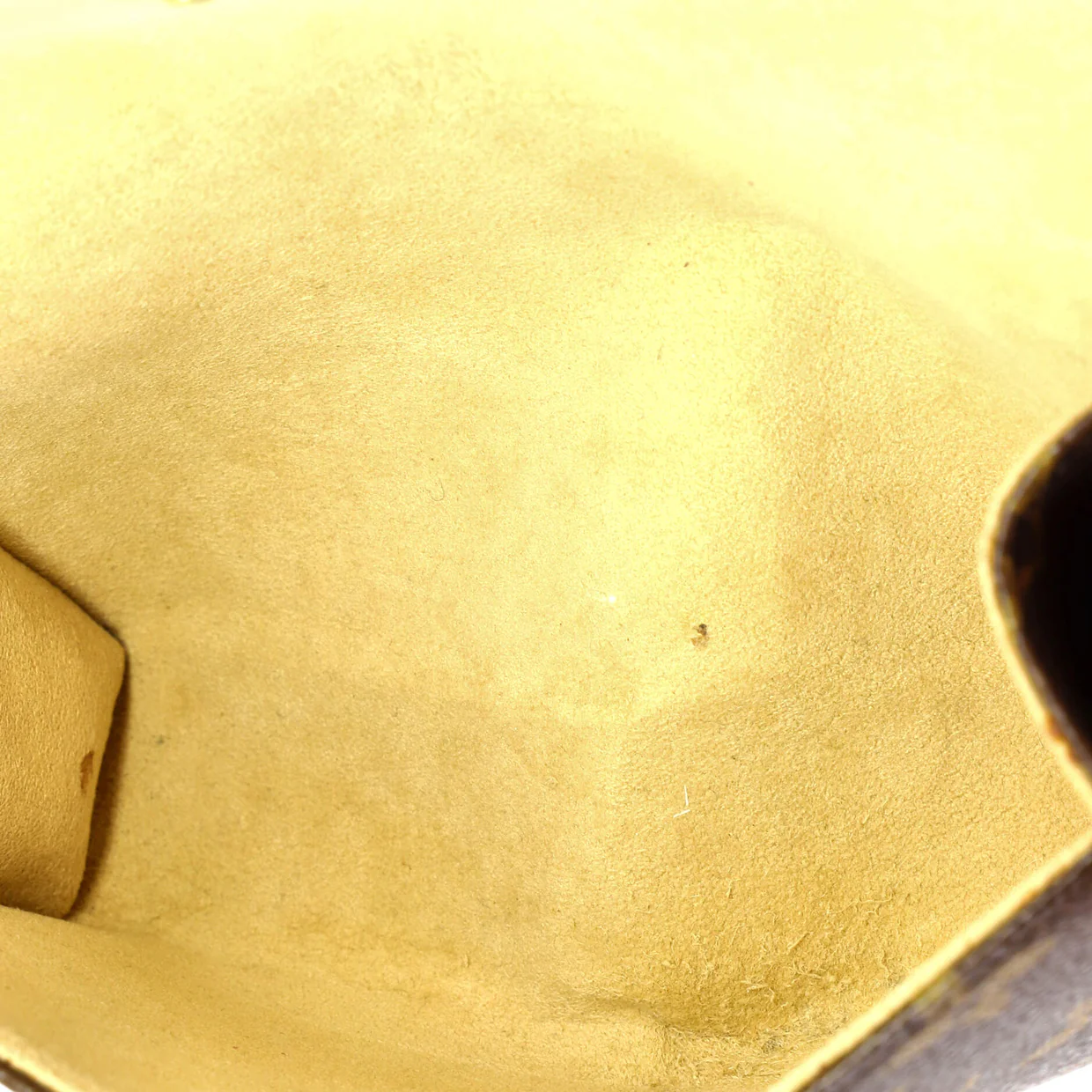 Florentine Waist Bag Monogram Canvas - Deep Luxury