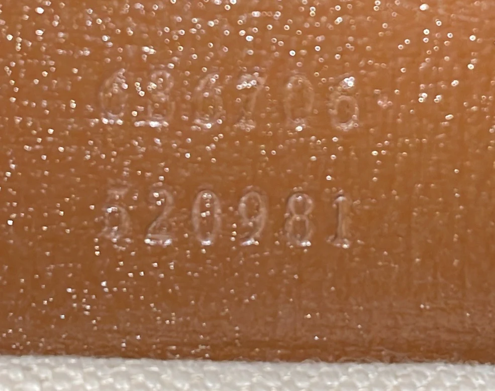 Jackie 1961 Hobo Printed GG Coated Canvas Small - Deep Luxury