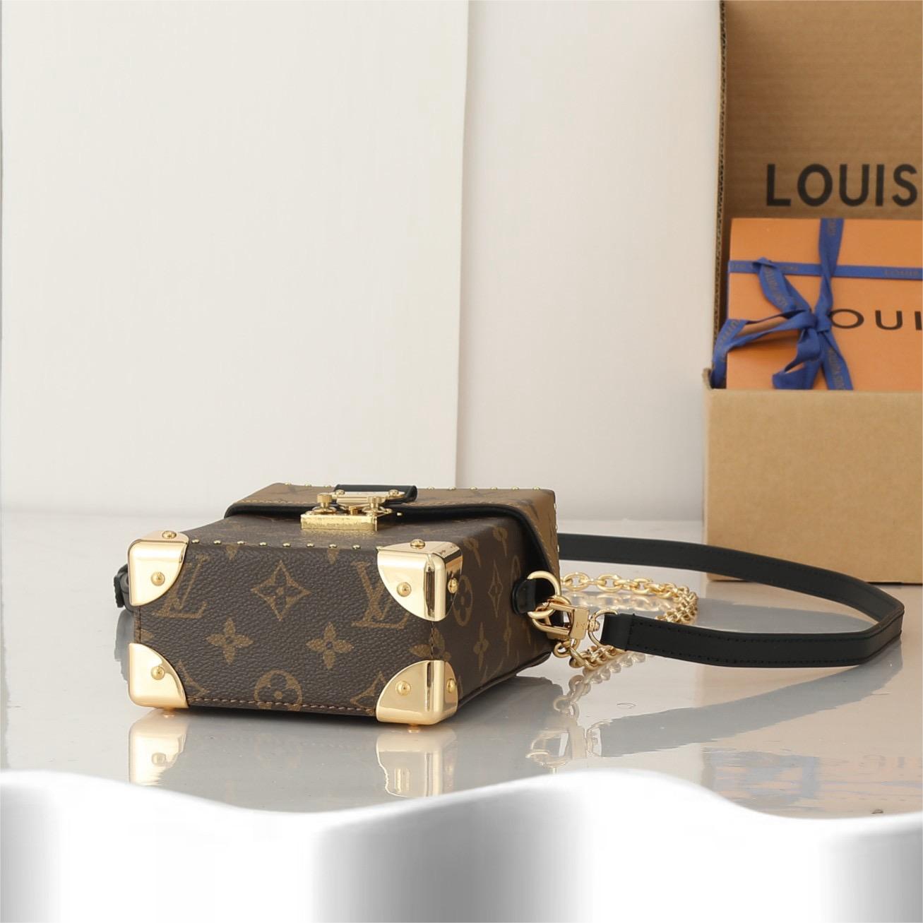 LV-CAMERA BOX handbag