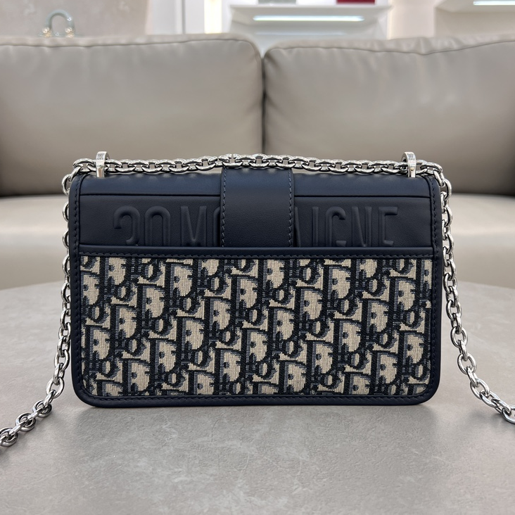 DlOR -30 Montaigne East West Handheld Shoulder Bag