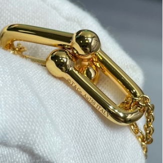 TIFFANY&Co-Double Ring Smooth Horseshoe Buckle Necklace