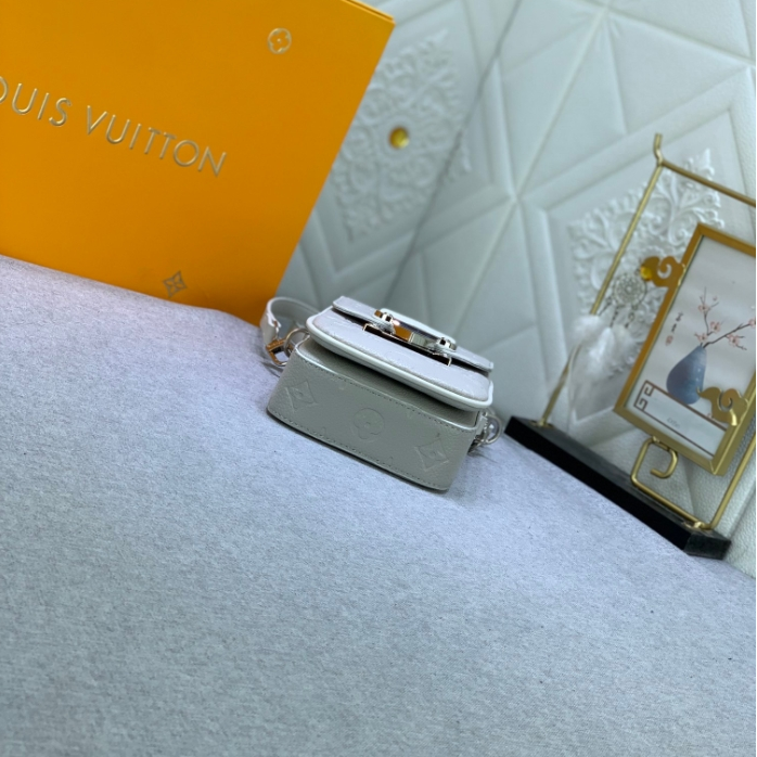 LV-Embossed Cowhide Camera Bag