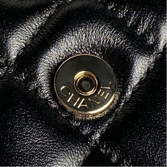 Chanel-Multi Functional Camera Bag