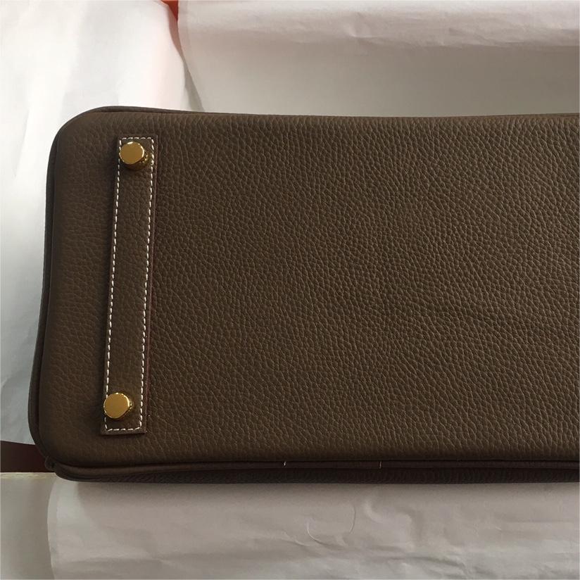 Hermès-Platinum Birkin