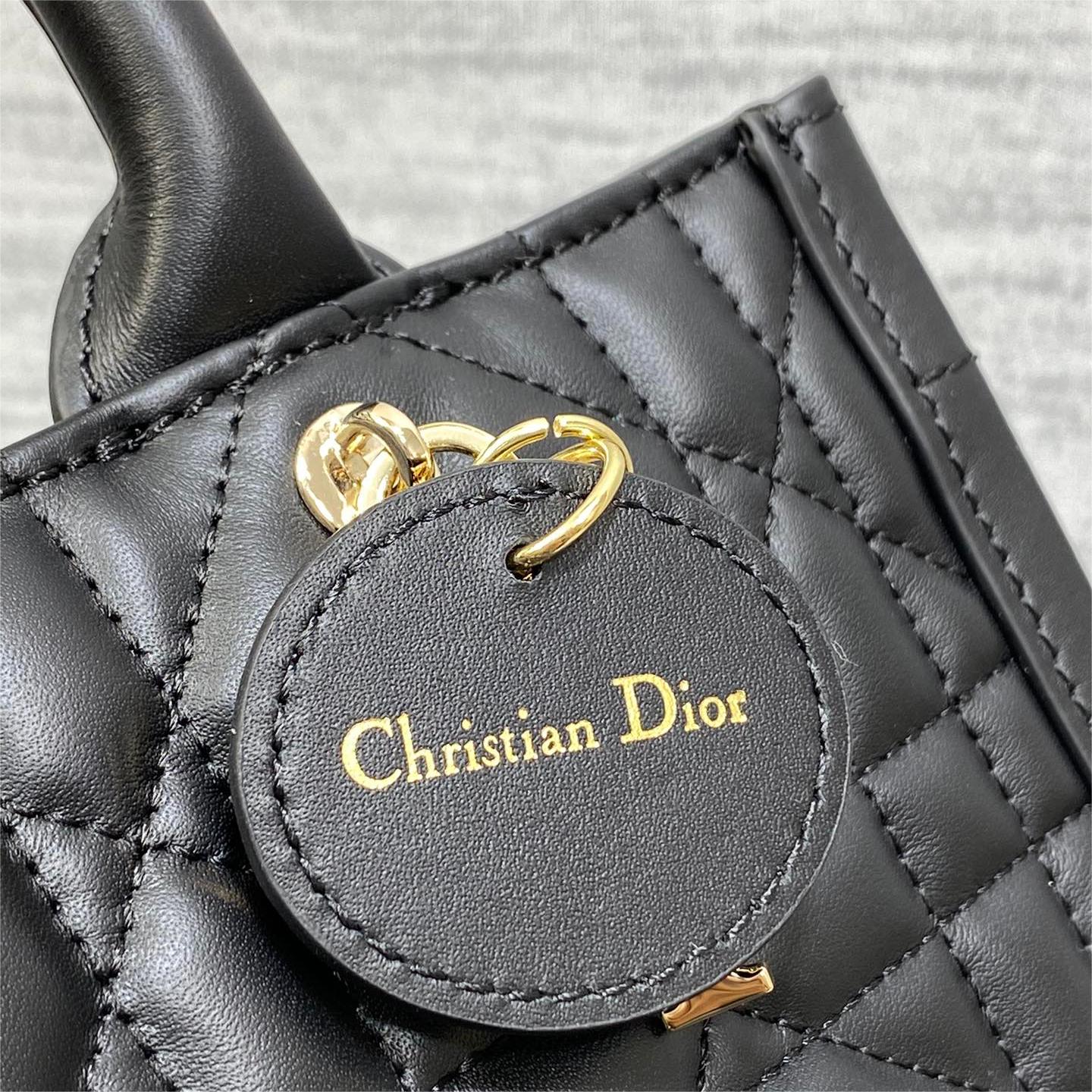 Dior-Small Book Tote