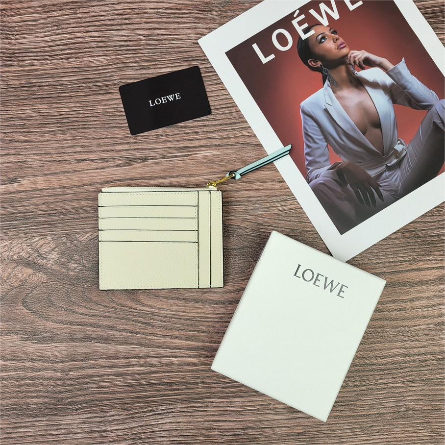 LOEWE-Zipper thin small card bag