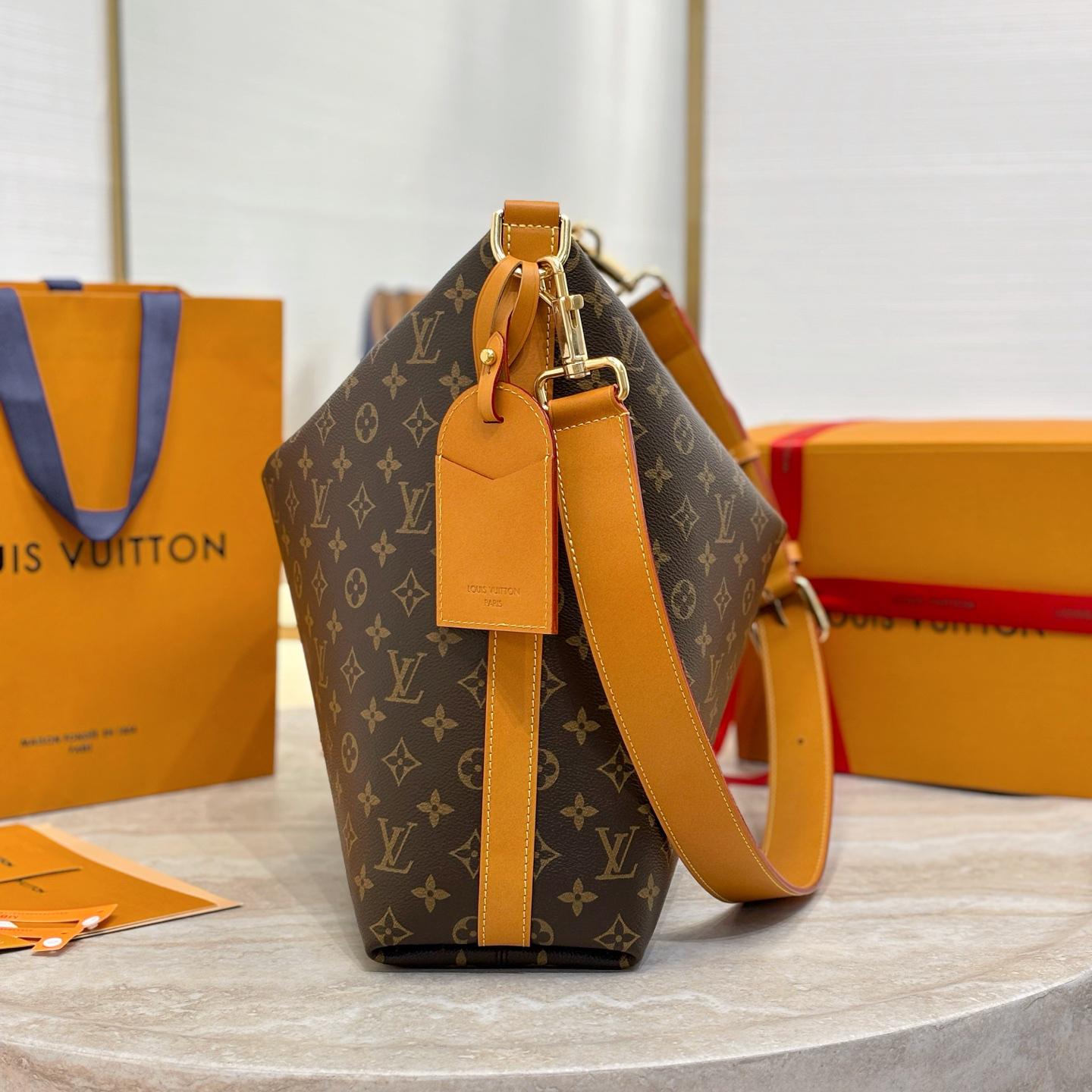 LOUIS VUITTON - LV Vagabond Hobo handbag