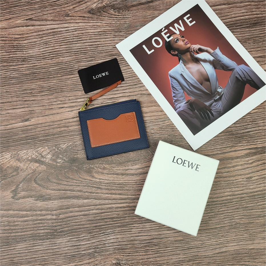 LOEWE-Zipper thin small card bag