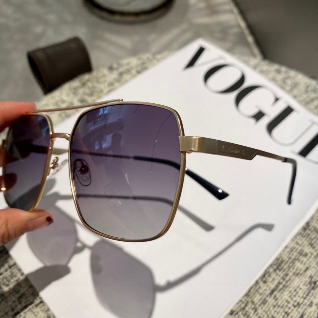 Cartier Men's Polarized Sunglasses