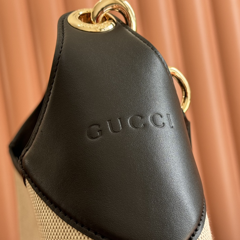 GUCCI - Body Removable Shoulder Strap Magnetic Closure Canvas Shoulder Handbag
