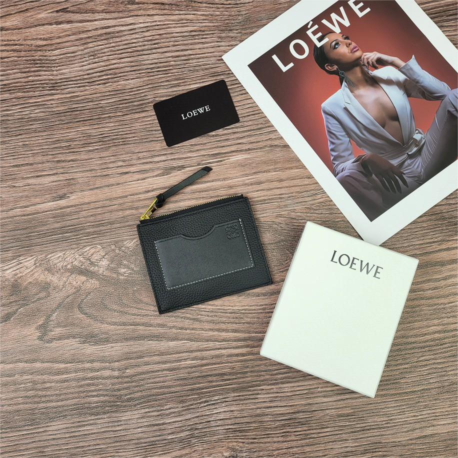 LOEWE-Zipper thin small card bag