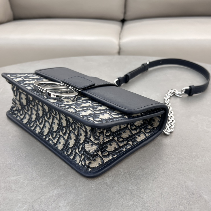 DlOR -30 Montaigne East West Handheld Shoulder Bag