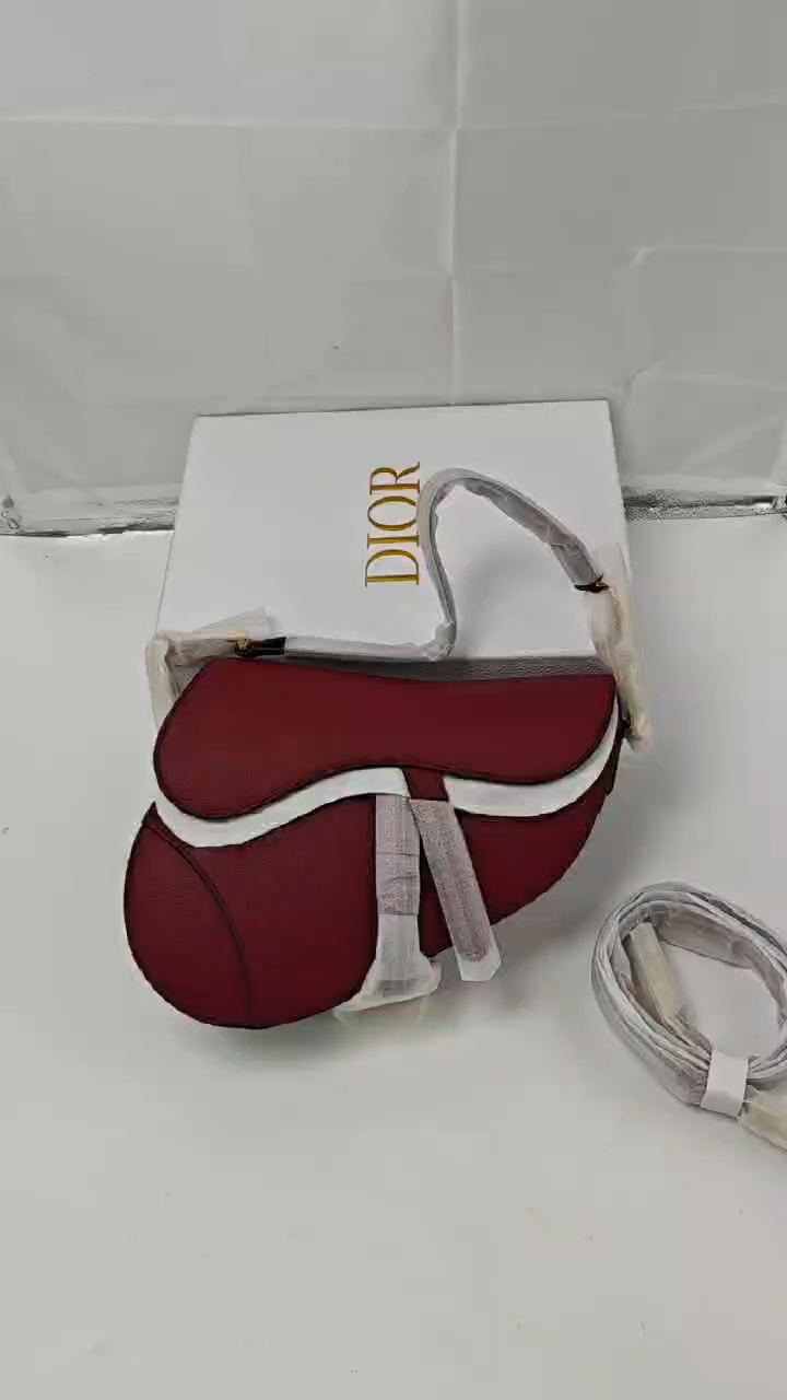 Dior - Saddle Cowhide Leather Handbag Shoulder bag