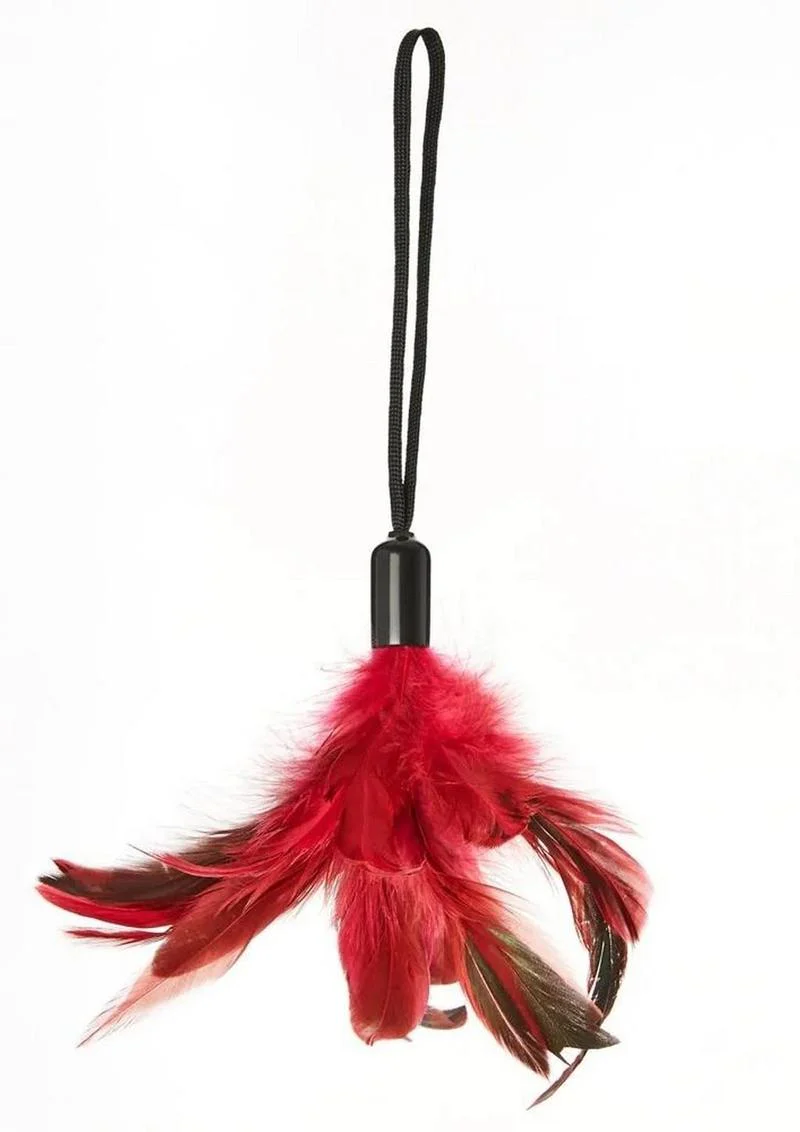 Pleasure Feather
