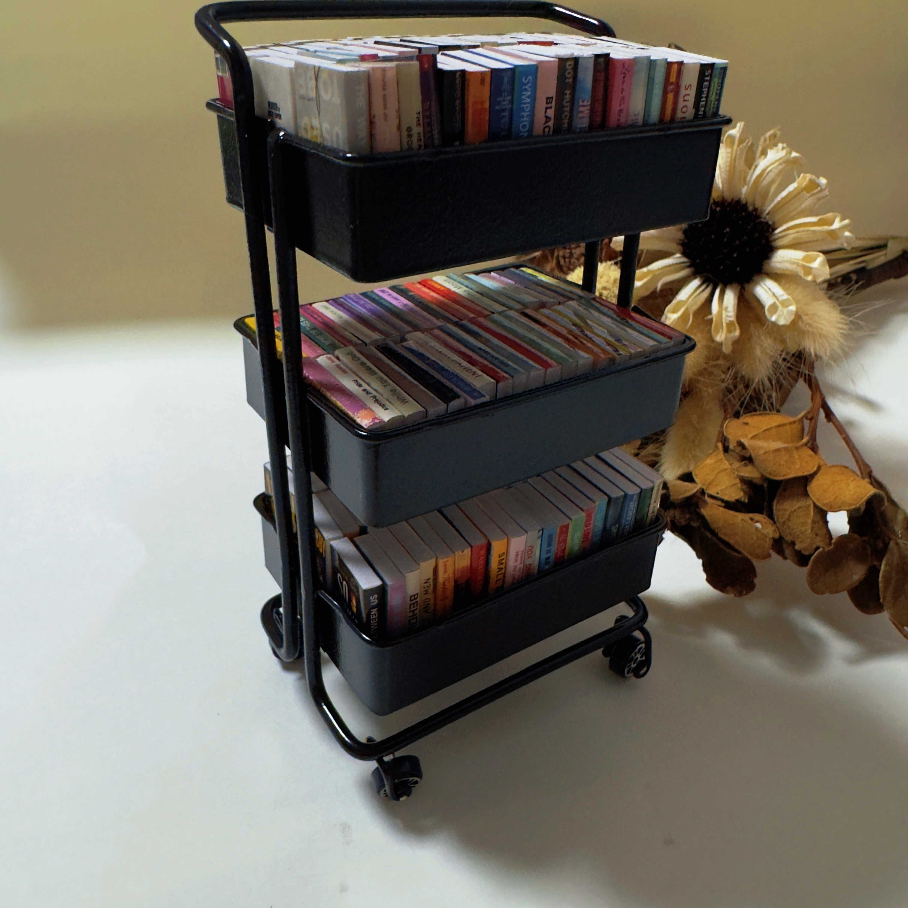 Mini Book Cart&Mini Books