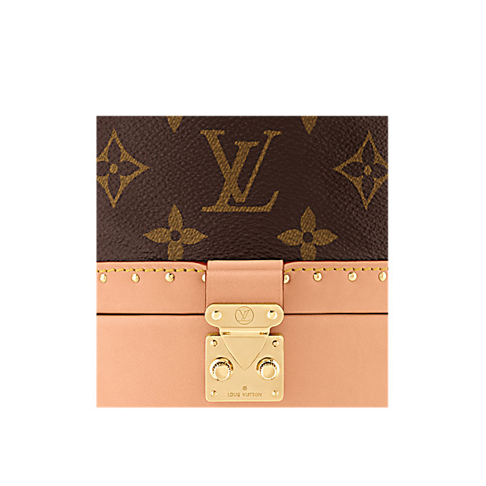 Louis Vuitton Monogram Canvas PETIT